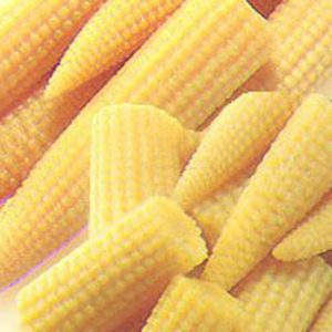 House Brand Pickled Baby Corn