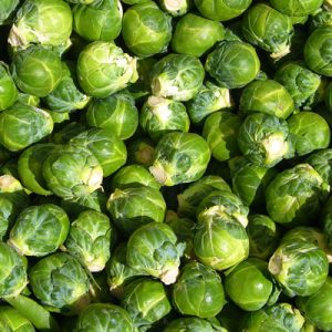 House Brand Pickled Brussels Sprout